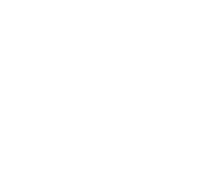 BSH.png