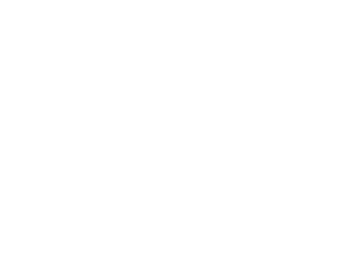 nissan.png